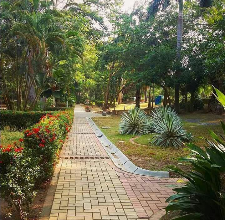 Rio Hotel Monteria Luaran gambar